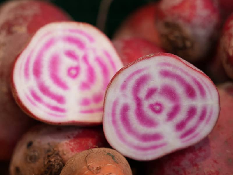 Biohof Bursch Warenkunde: mehr Infos zu Ringelbete.
