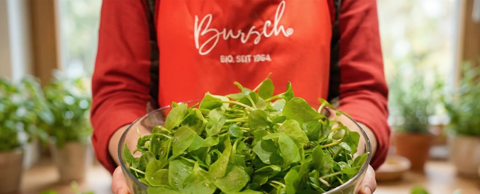 Frischer Spinat in einer Schüssel