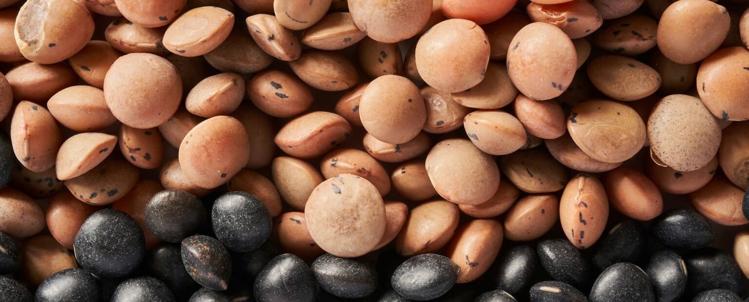 Unsere Rheinische Linsensuppe.