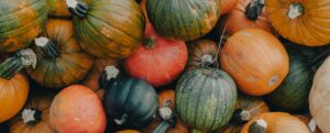 Kürbisse in verschiedenen Farben und Formen
