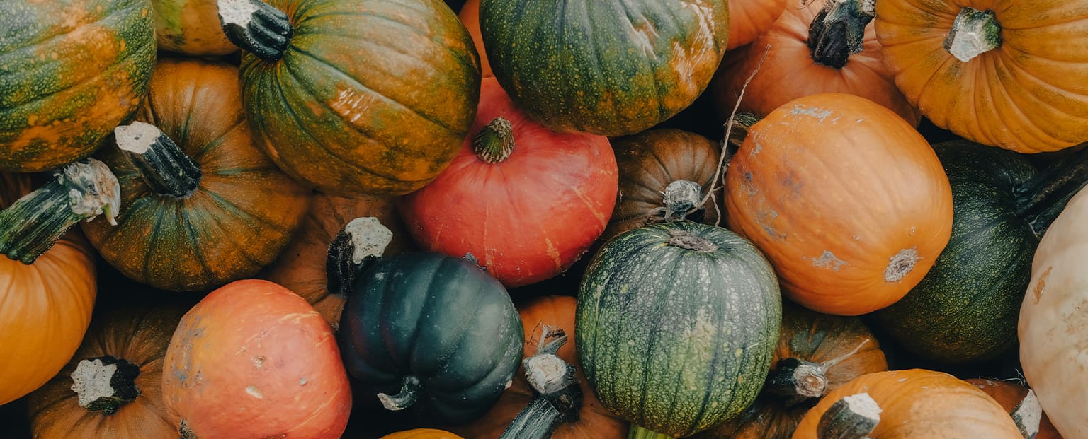 Kürbisse in verschiedenen Farben und Formen